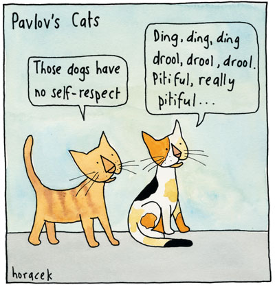 05Horacek-OL02-Pavlovs-Cats-col2400