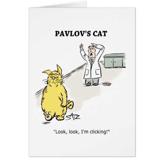 julius_katz_the_cat_pavlov_birthday_card-r5a3442b58eba4f21b1d3f2ce49d2b4af_xvuat_8byvr_540