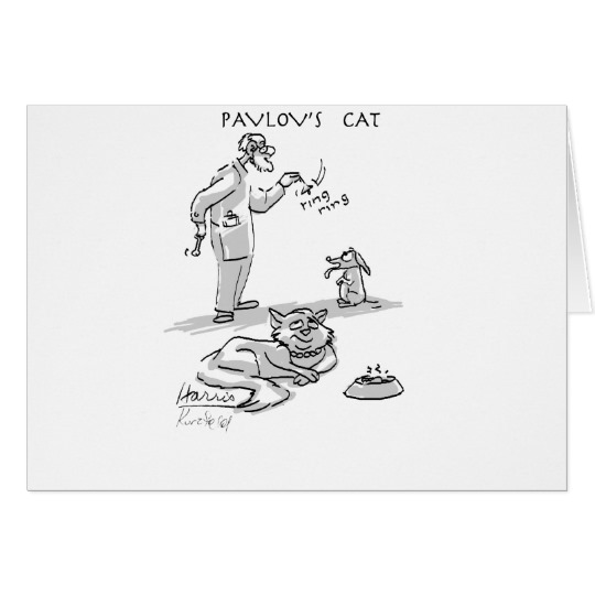 pavlovs_cat_card-r0b31d587f0564e63b9e966be2f31b632_xvuak_8byvr_540