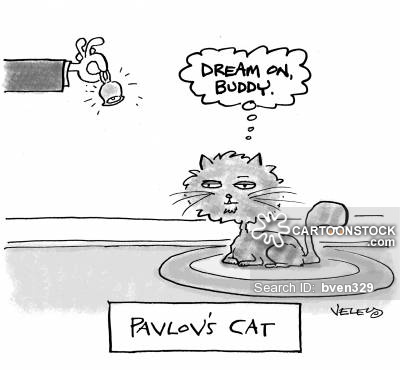 Pavlov's Cat: 'Dream on Buddy.'